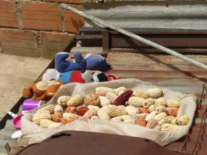 ...auf denen neben Wäsche auch Kuscheltiere und die unterschiedlichsten Sorten an Mais getrocknet wurden.